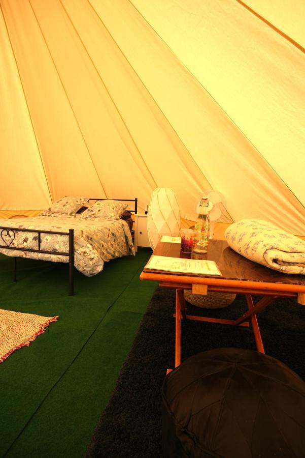 Camping Arbre De Vie Montagnac  Exteriör bild